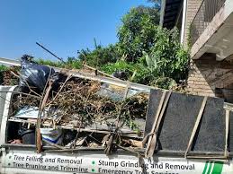 Best Demolition Debris Removal  in Virginia Beach, VA